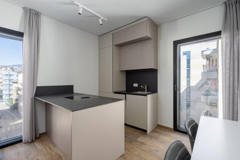 Vivi il nuovo! Elegante Appartamento CLIMATIZZATO nel Cuore di Lugano (4)