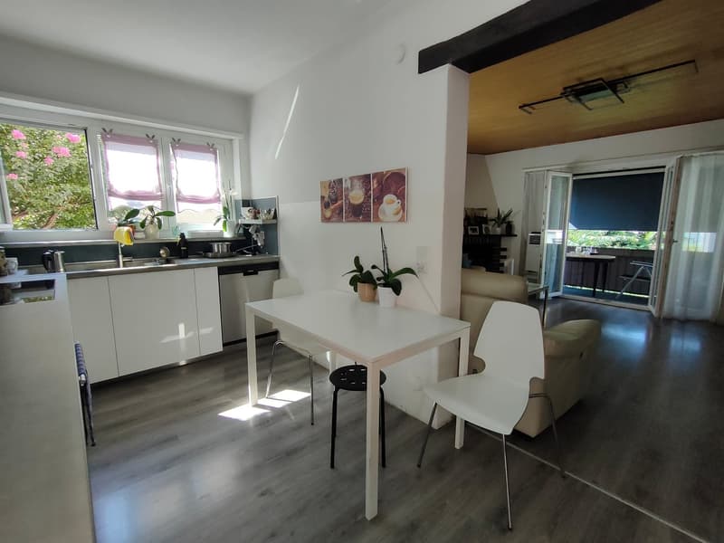 Casa bifamiliare in vendita a Lugano-Pregassona (3)