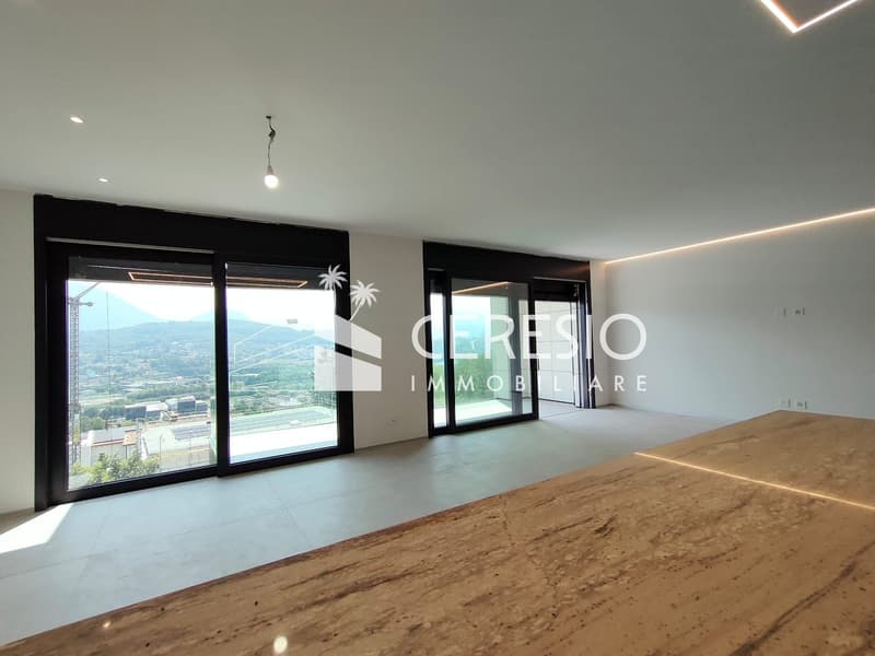 NUOVI APPARTAMENTI 5.5 LOCALI DUPLEX A MANNO (8)