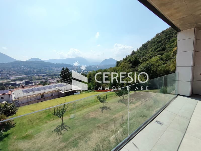 NUOVI APPARTAMENTI 5.5 LOCALI DUPLEX A MANNO (6)