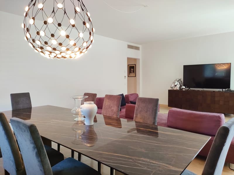 ELEGANTE APPARTAMENTO DI 4.5 LOCALI A POCHI PASSI DAL CENTRO (8)
