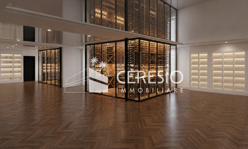 NUOVI DEPOSITI IN VENDITA PER COLLEZIONI (2)