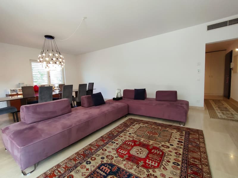 ELEGANTE APPARTAMENTO DI 4.5 LOCALI A POCHI PASSI DAL CENTRO (6)