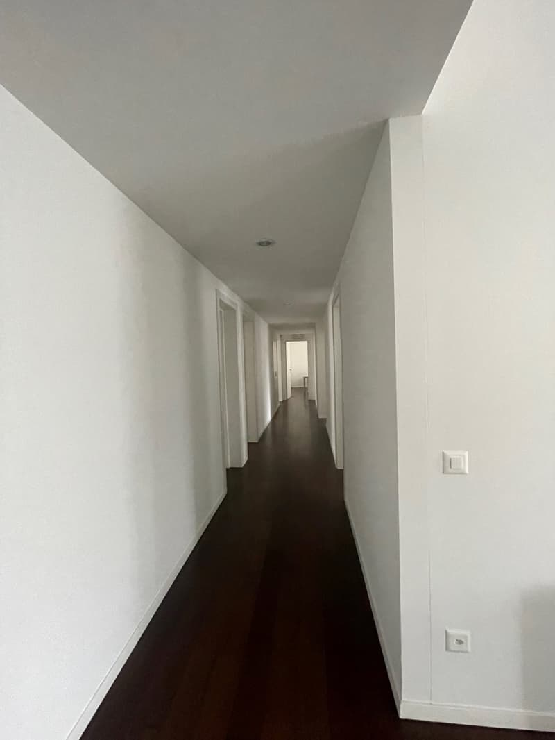 Empty hallway with white walls, wooden floor, ceiling light, electrical outlets