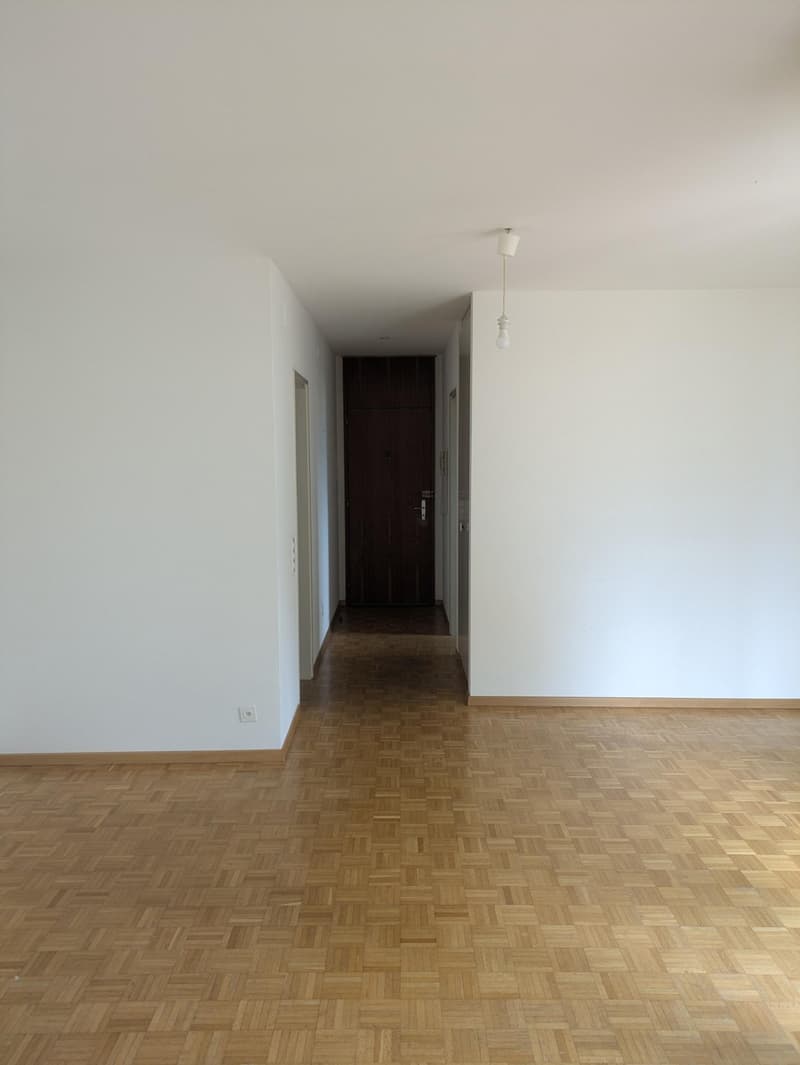 Affittasi appartamento 1.5 locali a Melide - da subito (2)