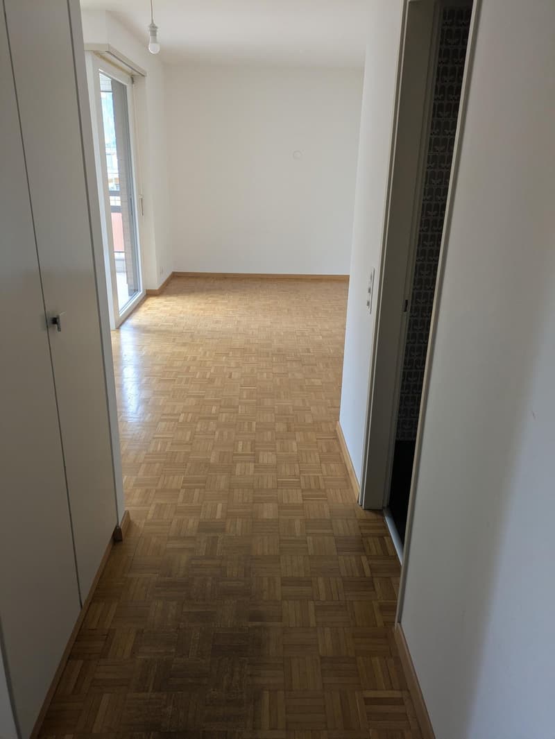 Affittasi appartamento 1.5 locali a Melide - da subito (4)