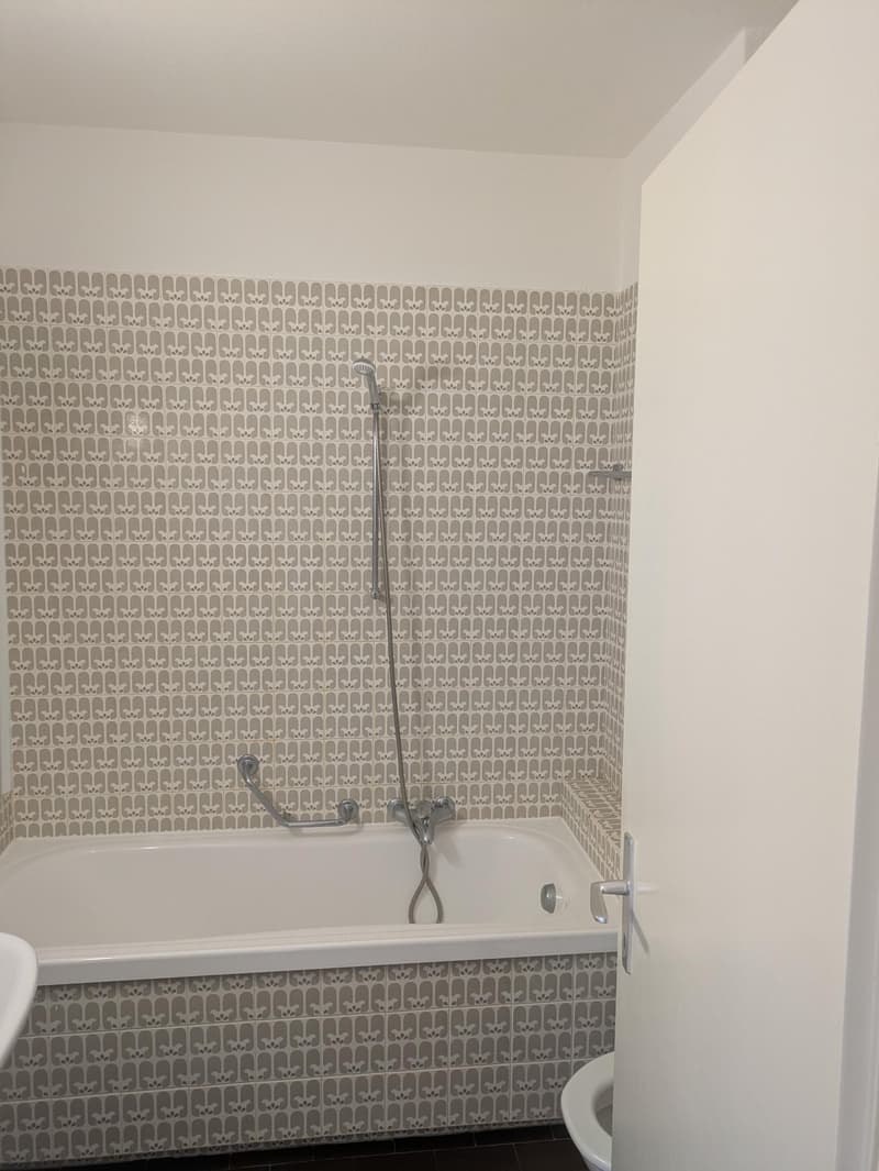 Affittasi appartamento 1.5 locali a Melide - da subito (6)
