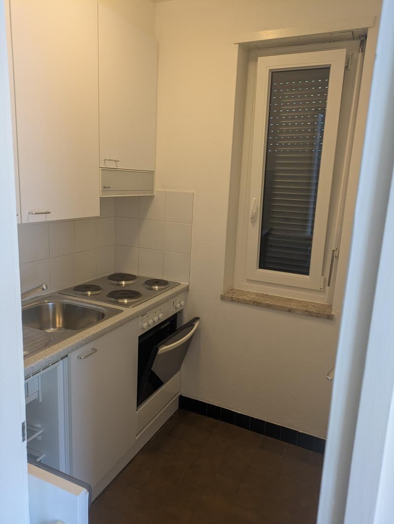 AFFITTASI appartamento 1.5 locali con vista lago a Melide (3)