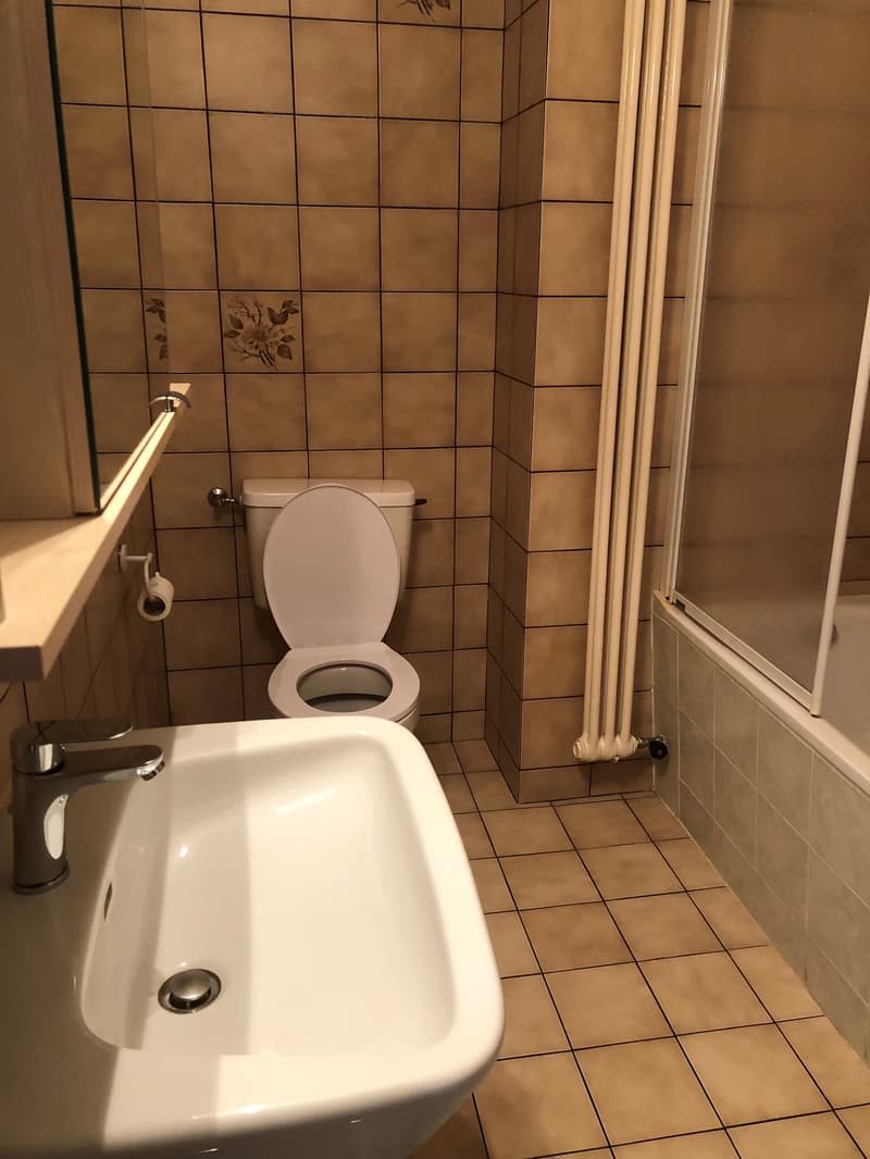 Affitasi appartamento di 3.5 locali a Porza (8)