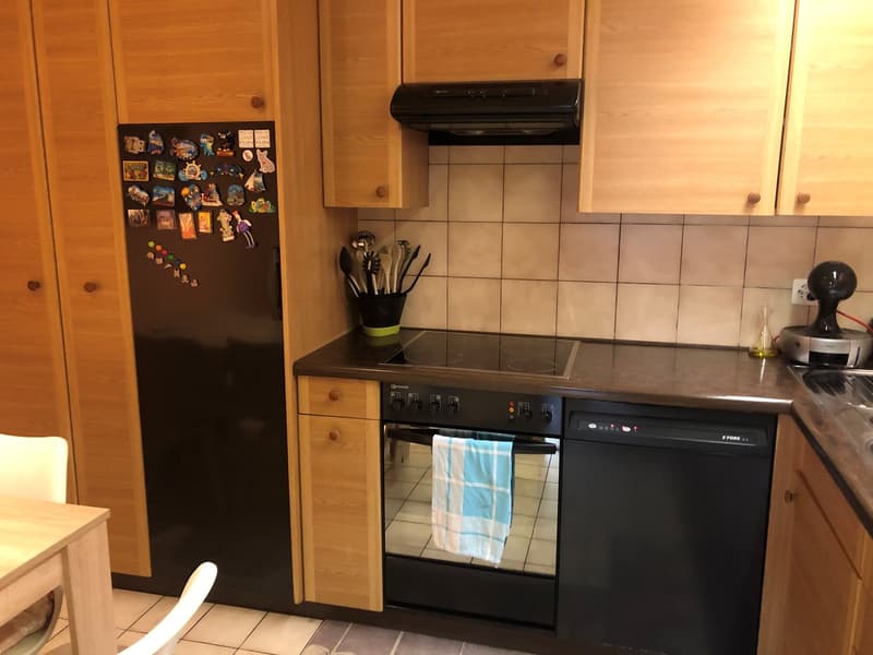 Affitasi appartamento di 3.5 locali a Porza (3)