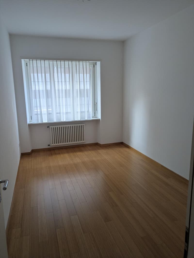Appartamento 3.5 locali in affitto a Lugano – zona Cassarate (6)