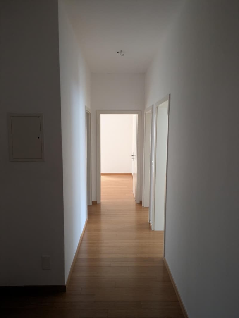 Appartamento 3.5 locali in affitto a Lugano – zona Cassarate (2)