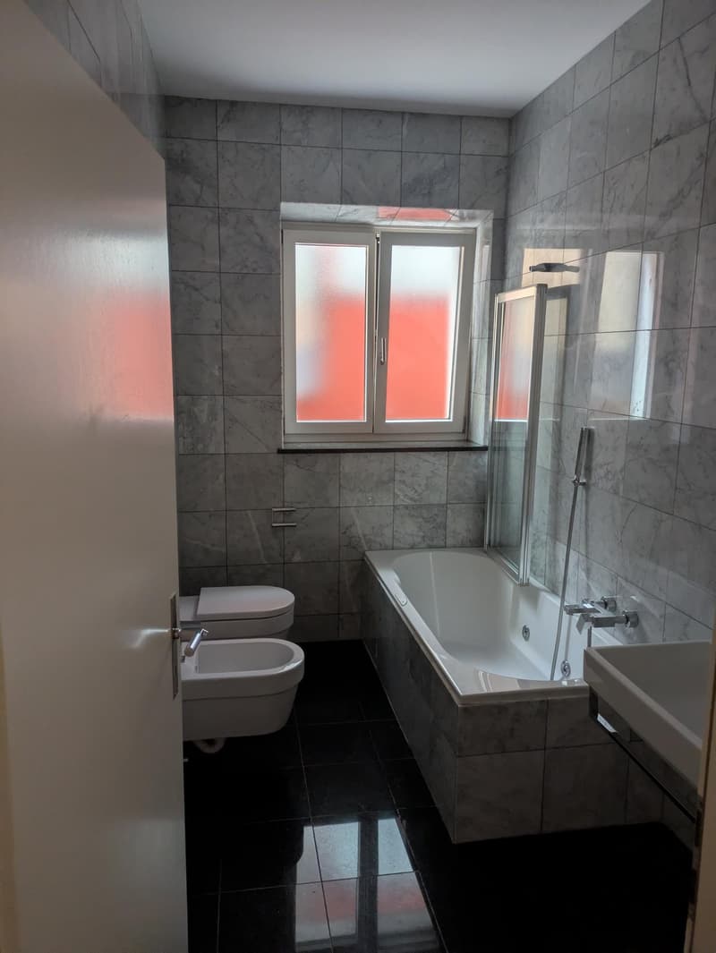 Appartamento 3.5 locali in affitto a Lugano – zona Cassarate (5)
