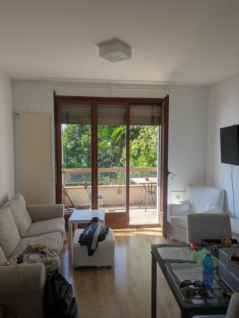 Appartamento in affitto di 2.5 locali con vista lago a Castagnola (2)