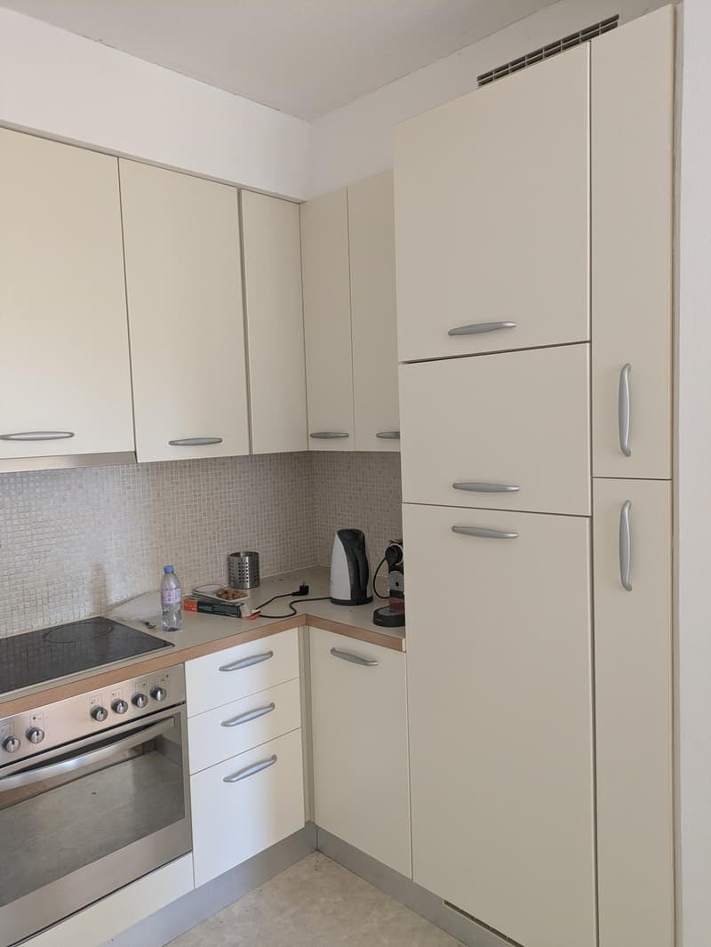 Appartamento in affitto di 2.5 locali con vista lago a Castagnola (3)