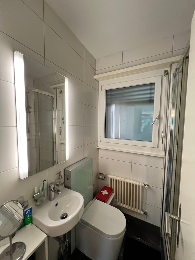 White tiled walls, white sink, mirror with lighting, toilet, shower with glass door, radiator, medicine box, compact toiletries.