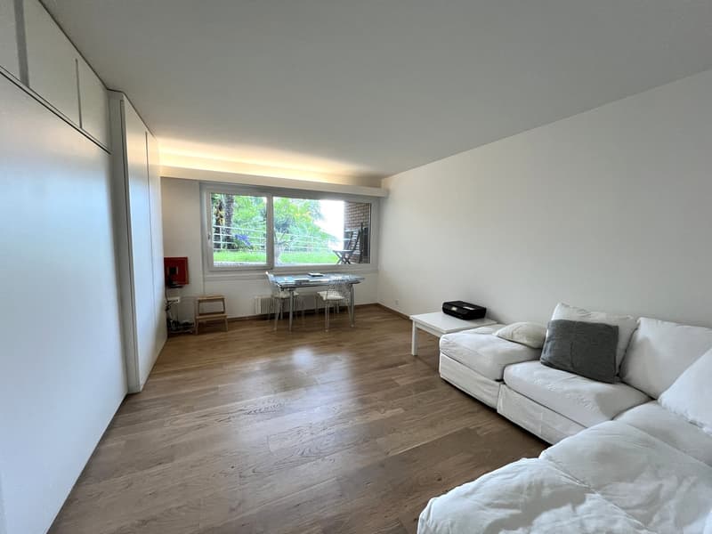 modern living room with wooden floor, white walls, white couch with pillows, dining table with chairs, radiator, window with view to balcony and grassy area