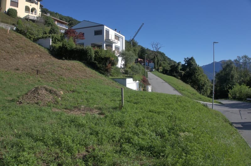 Modern white house with terraces, built on a slope, elevated, surrounded by greenery.