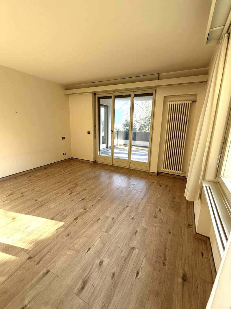 Hardwood floors, white walls, large sliding glass doors leading to a terrace, white radiator, white curtains
