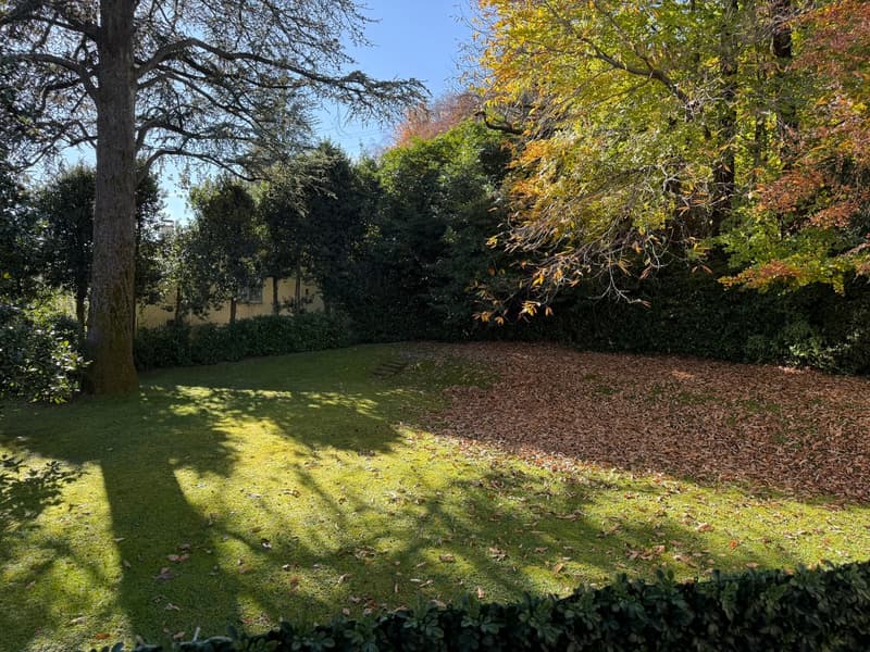 well-maintained lawn with a variety of mature trees, hedges, and shrubs, with some fallen leaves on the ground, creating a serene and picturesque setting.