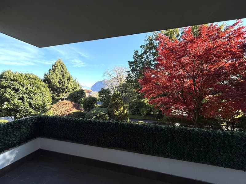 Overlook of terrace with garden view and clear blue sky