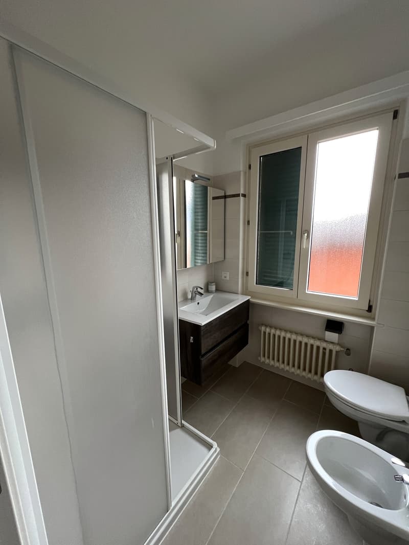 Elegante 3.5 locali ristrutturato con vista panoramica (13)