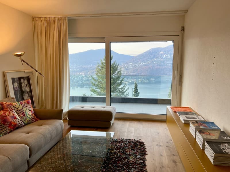 Bellissimo 5.5 locali con splendida vista lago (5)