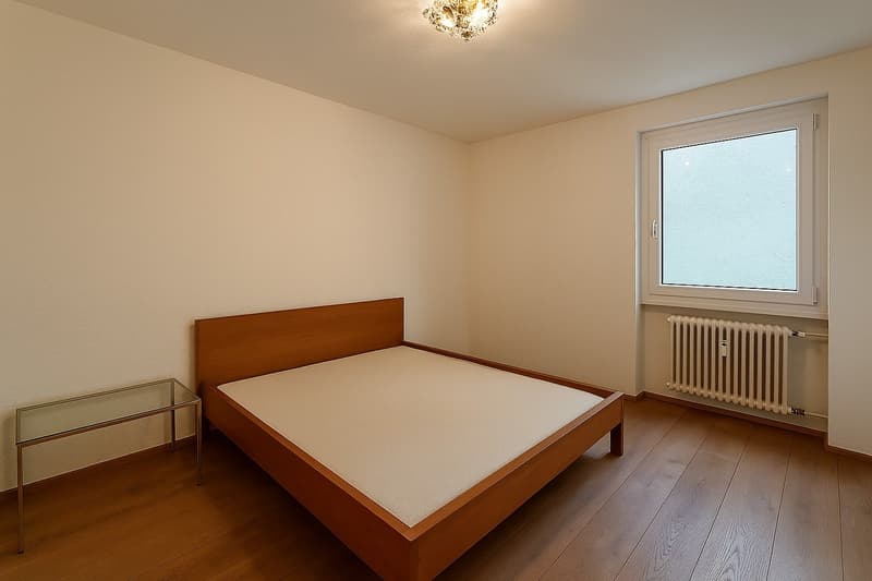 Bellissimo 5.5 locali con splendida vista lago (13)