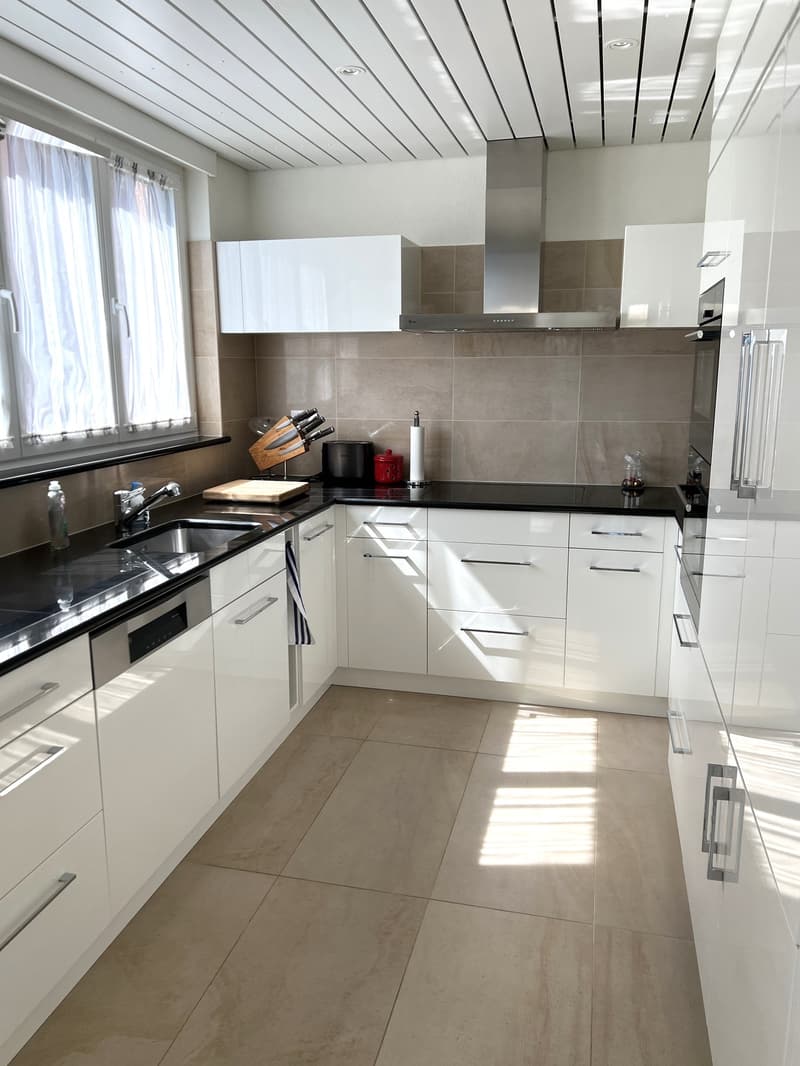 Splendido 4.5 locali con stupenda vista mozzafiato (7)