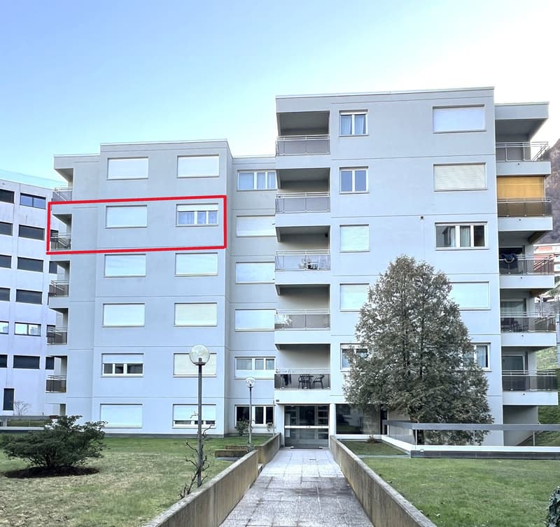 3.5 locali, ristrutturato con box privato, Paradiso AV096-22 (19)