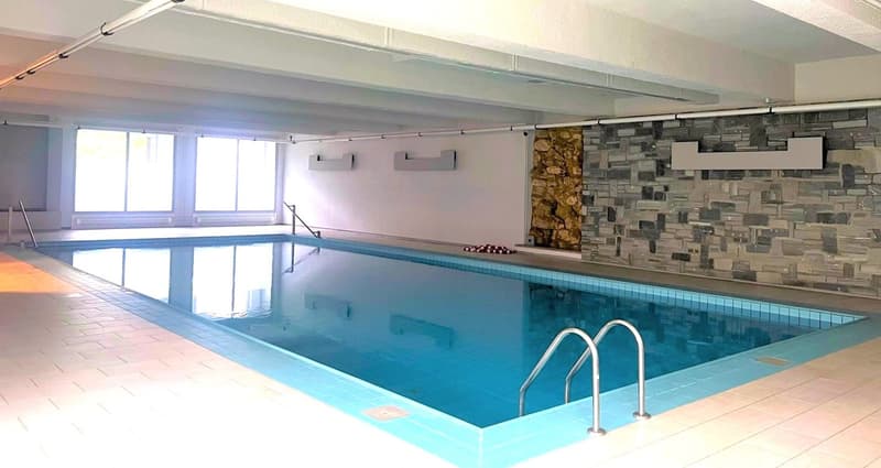 3.5 locali, ristrutturato con box privato, Paradiso AV096-22 (16)