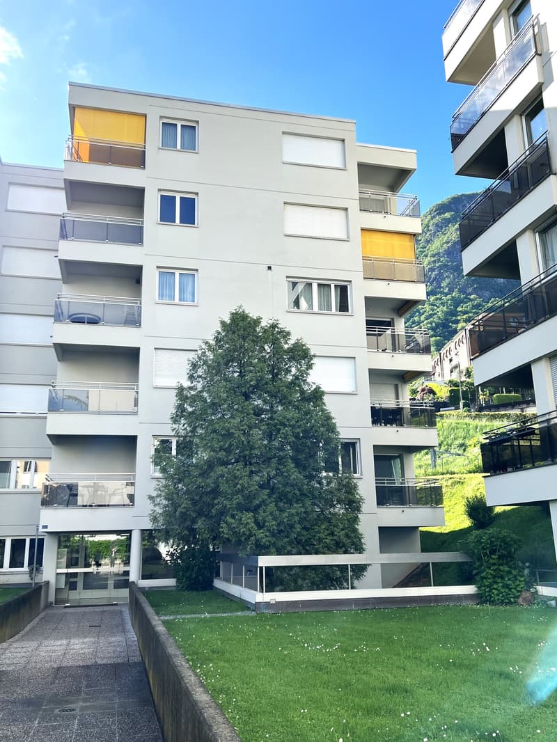 3.5 locali, ristrutturato con box privato, Paradiso AV096-22 (18)
