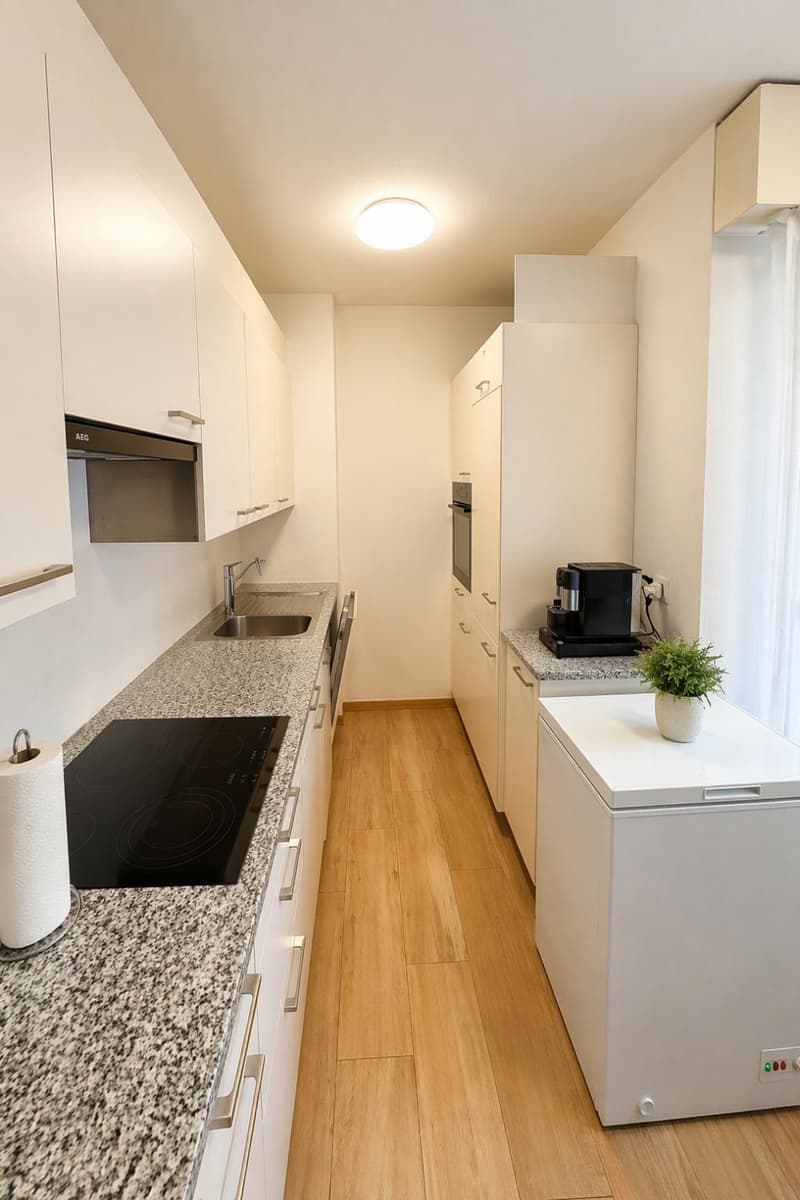 3.5 locali, ristrutturato con box privato, Paradiso AV096-22 (6)