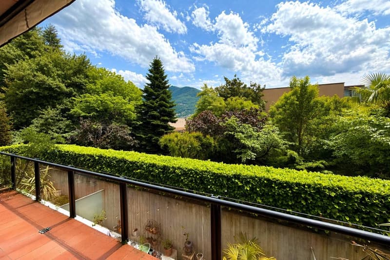 Centralissimo 2.5 locali nel cuore di Lugano (8)