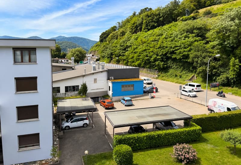 Ampio 4.5 locali, ideale anche come abitazione secondaria (11)