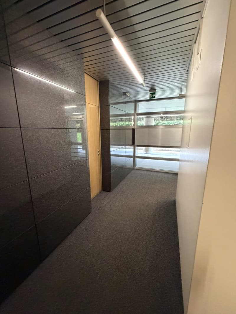 3.5 locali con terrazza e vista lago AA 112 (20)