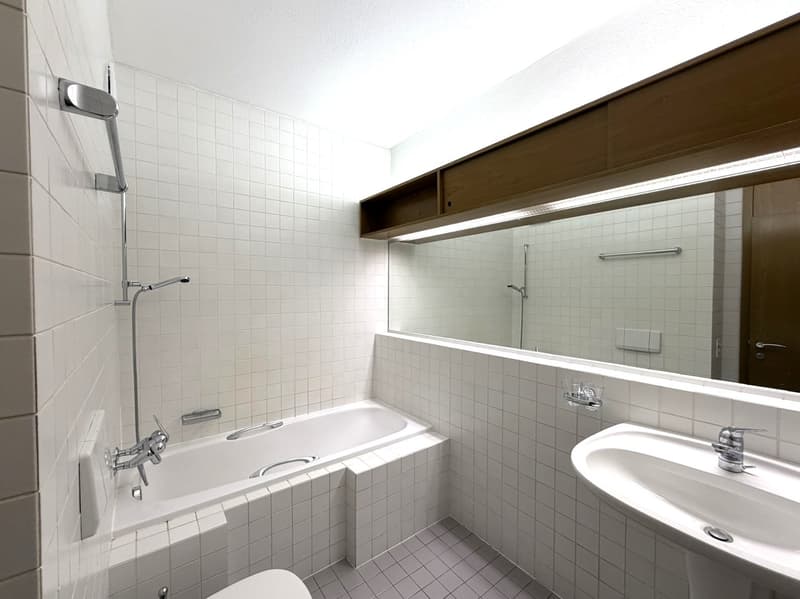 3.5 locali con terrazza e vista lago AA 112 (15)