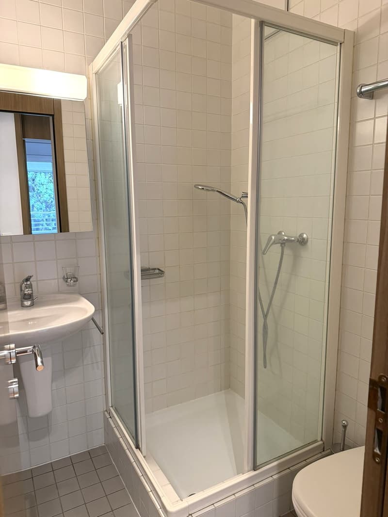 3.5 locali con terrazza e vista lago AA 112 (16)