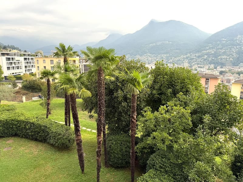 3.5 locali con terrazza e vista lago AA 112 (25)