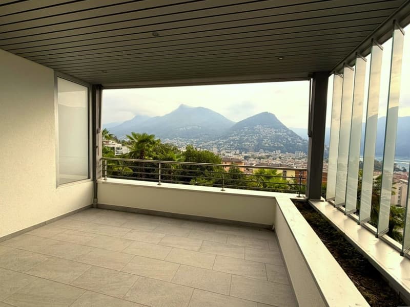 3.5 locali con terrazza e vista lago AA 112 (3)