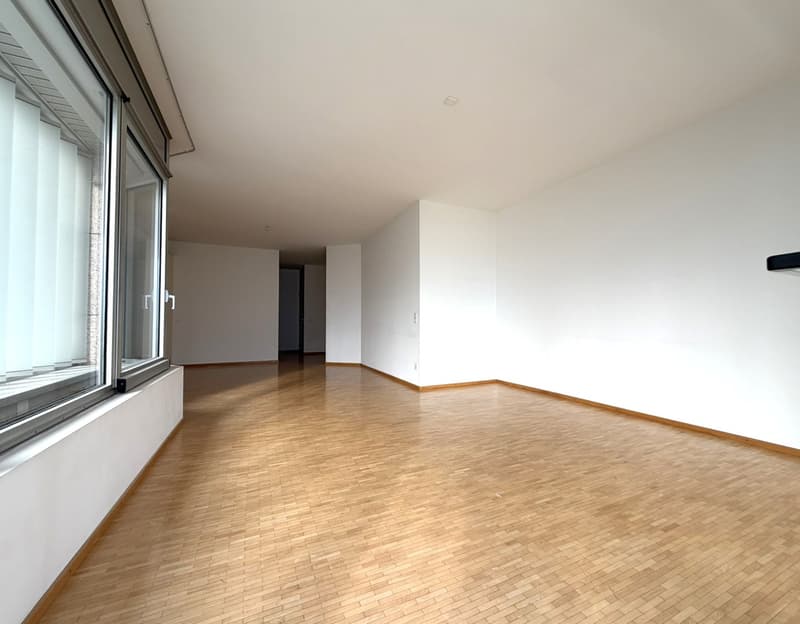 3.5 locali con terrazza e vista lago AA 112 (7)