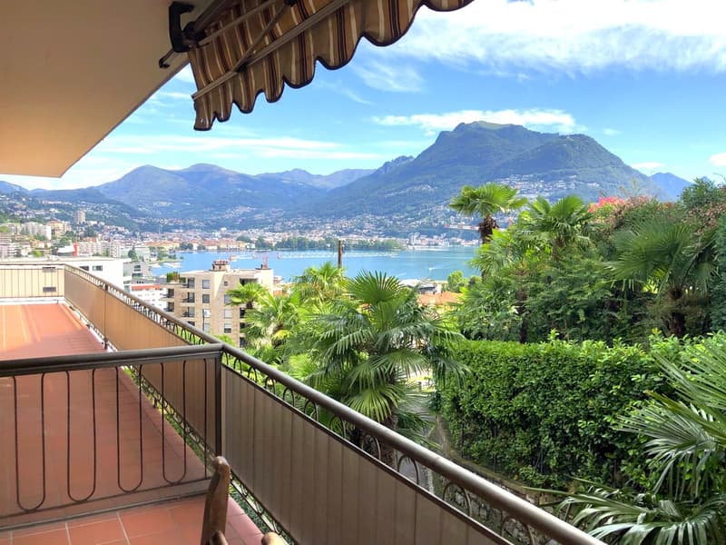 Funzionale appartamento 1.5 locali con vista lago (8)