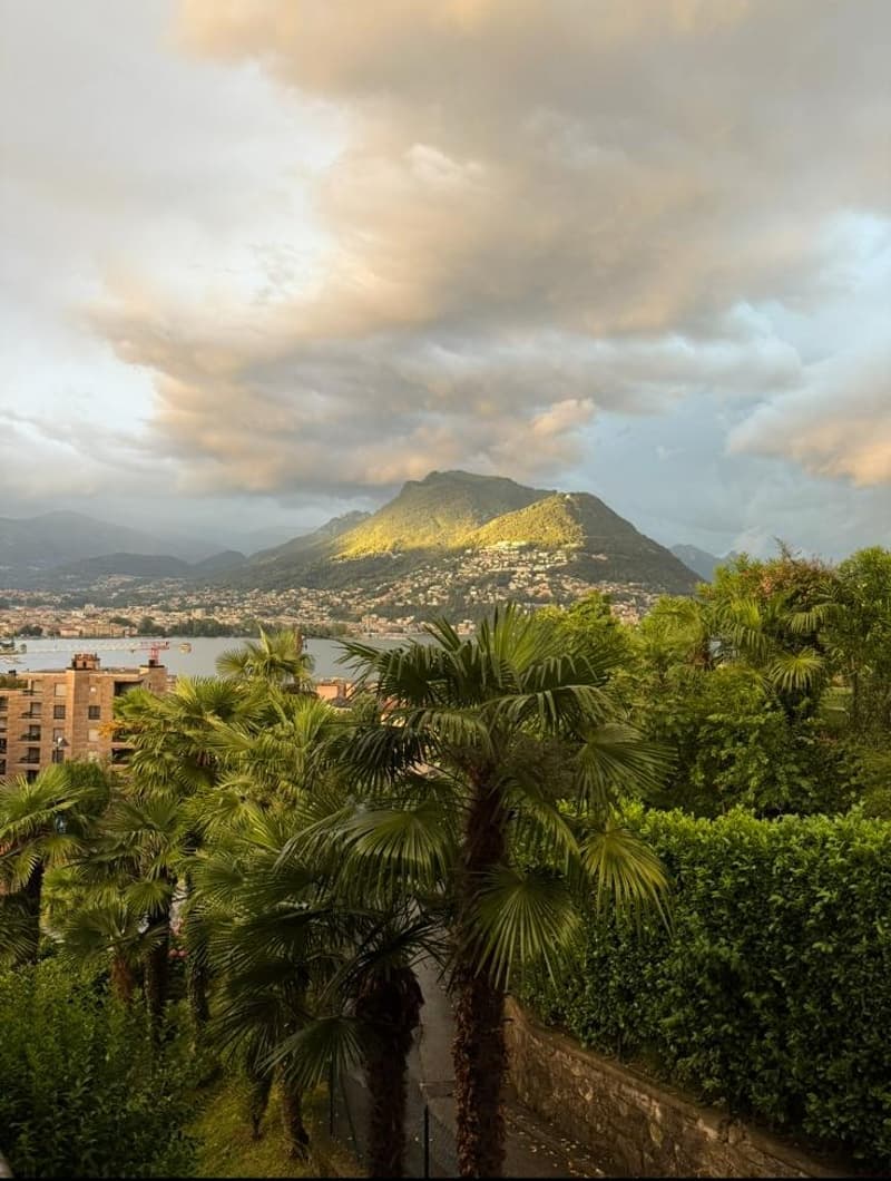 Funzionale appartamento 1.5 locali con vista lago (9)