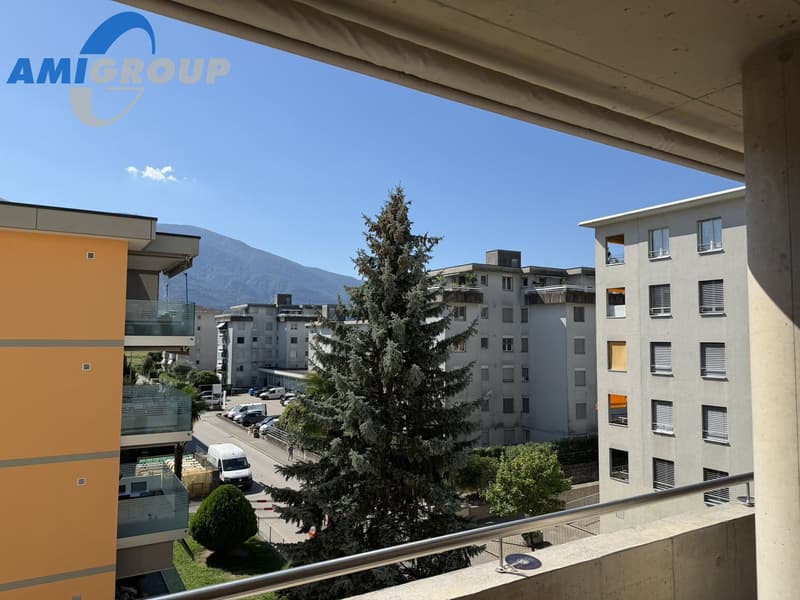 Luminoso 4.5 locali in posizione privilegiata (17)