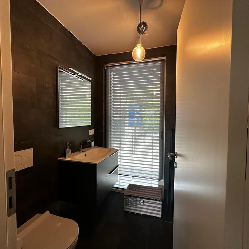 Dark-colored walls, vanity with double sinks, large window with blinds, pendant light fixture, storage trunk