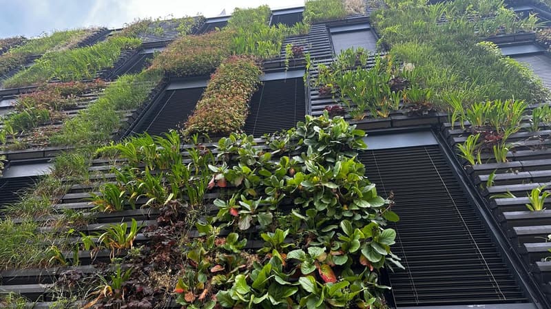 The image shows a vertical garden with lush greenery covering the exterior of a building. The garden features a variety of plants, including leafy greens, flowers, and other vegetation, arranged in a tiered, stepped design. The building has a modern, mini