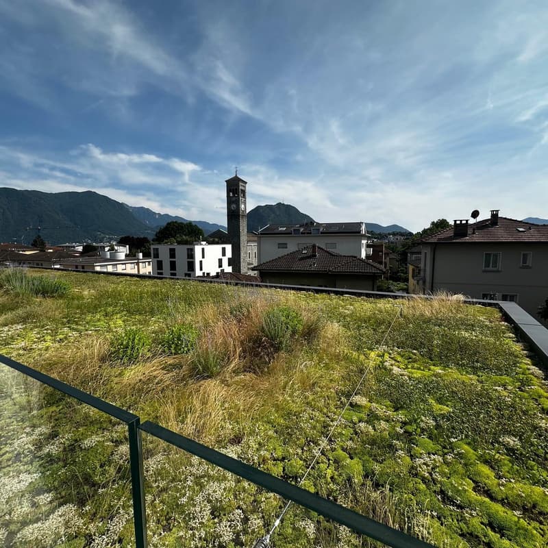 The image shows a scenic view of a town or village nestled in the mountains. The foreground features a grassy area with tall grass and moss-covered rocks. In the background, there is a church tower with a distinctive spire, surrounded by residential build