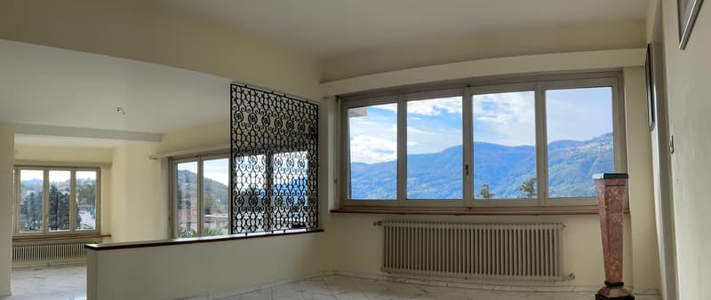 Spacious living room with large windows offering a scenic mountain view, decorative metal screen divider, tiled flooring, and a radiator heater.
