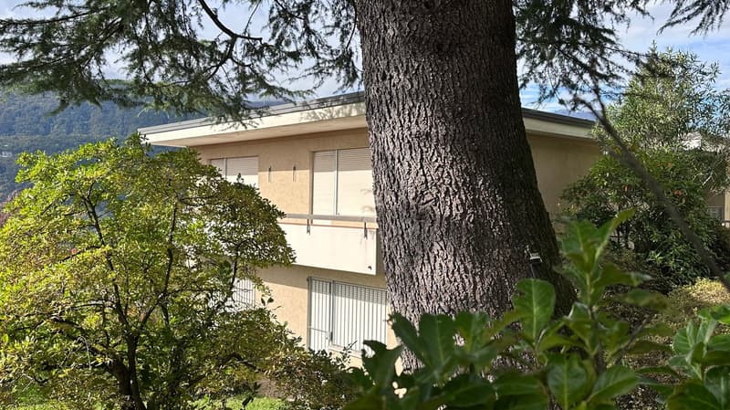 Two-story house surrounded by lush greenery, including a large tree in the foreground. The house has a flat roof and large windows, with a scenic view of the mountains in the background.