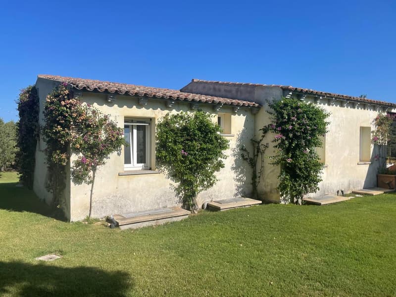 2 story house, stucco, red roof, plants climbing on the wall, garden in front